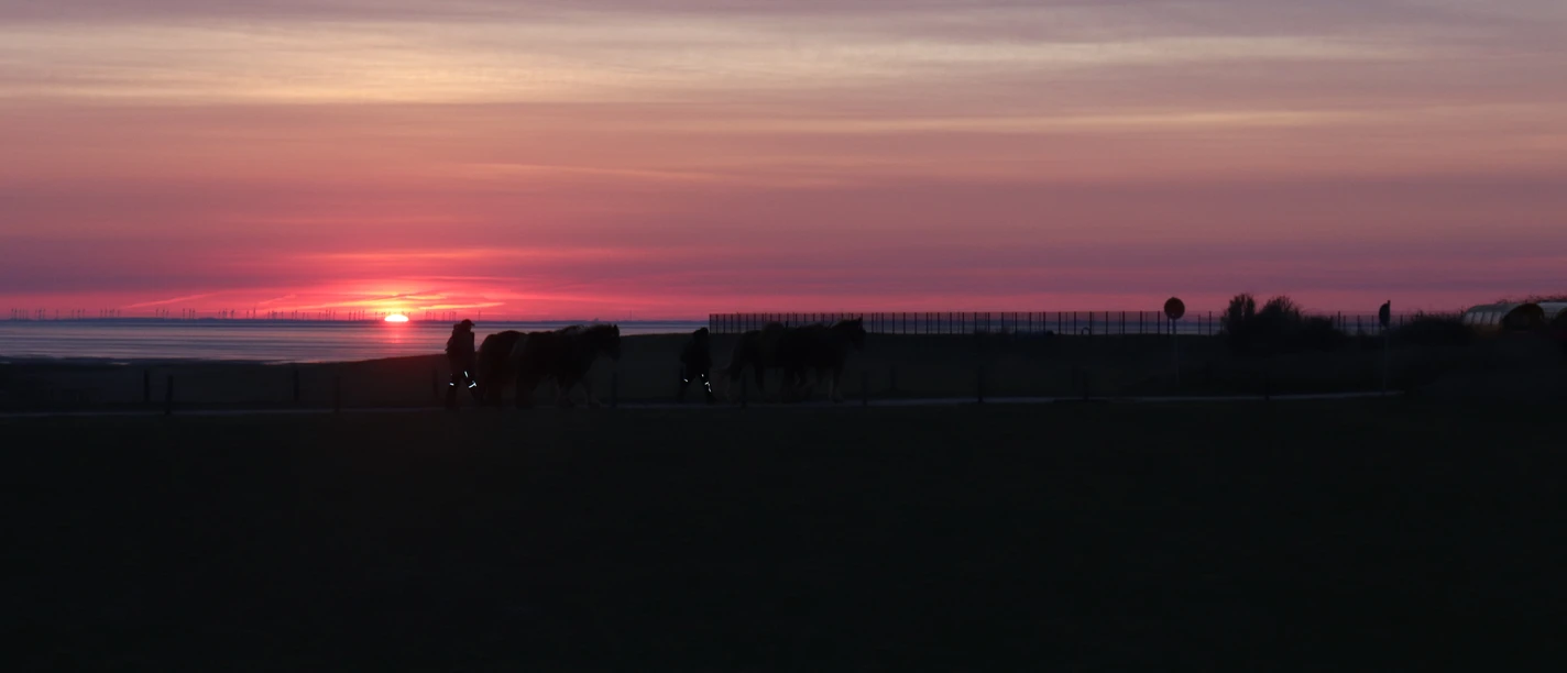 Sonnenuntergang auf Juist.JPG Sonnenuntergang auf Juist