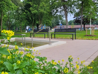Freibadpark Lübbecke Ein Kneippbecken mit Handlauf, umgeben von grünen Bäumen und gelben Blumen im Freibadpark Lübbecke.