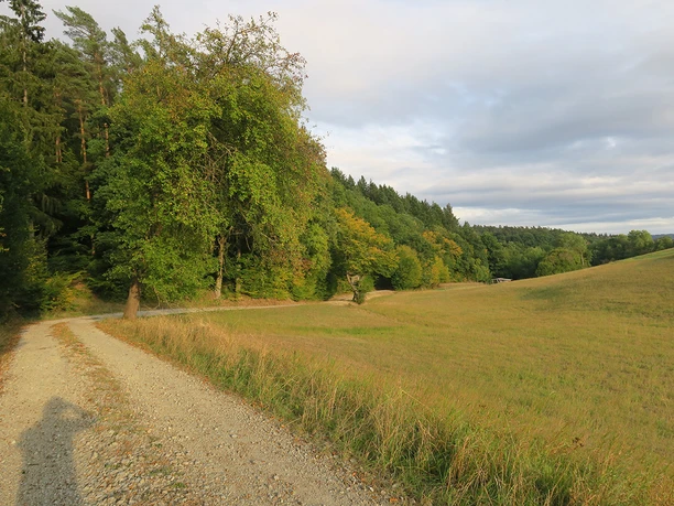 Haukuppenweg 03