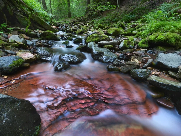 Kaskadenschlucht Kaskadenschlucht