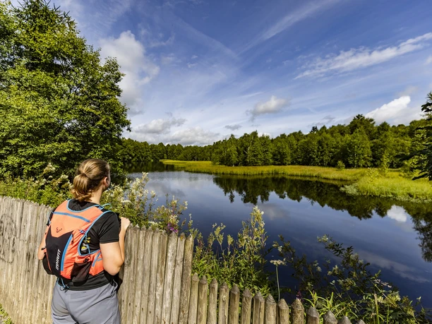 Rotes Moor Rotes Moor