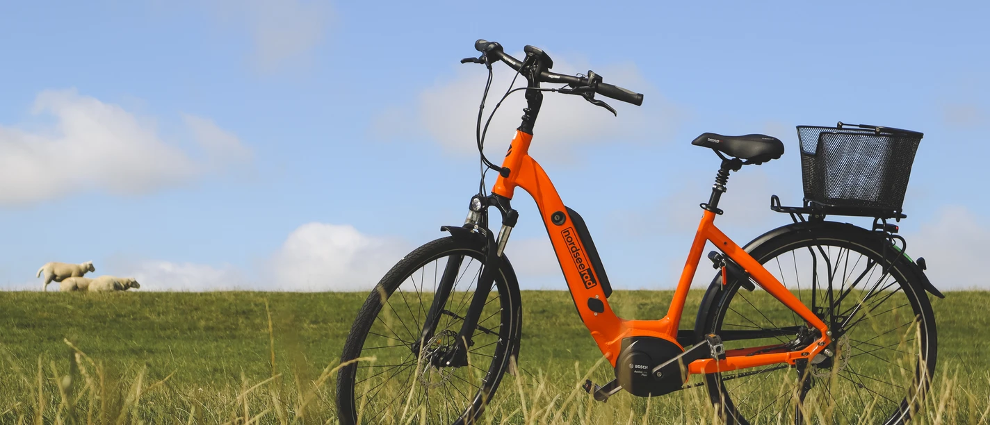 Titelbild-Rad-NordseeRad