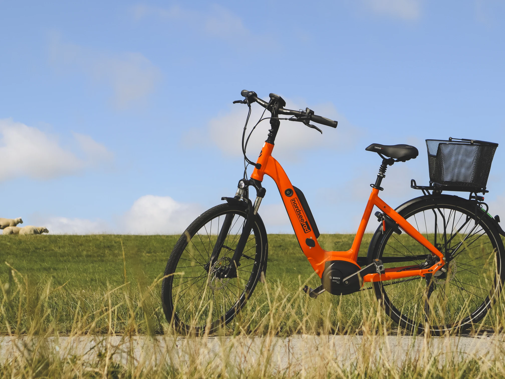 Titelbild-Rad-NordseeRad