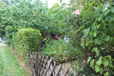 Ferienwohnung Zinne-Wigger Steimbke Grüner Garten mit Holzzaun und dichten Sträuchern umrahmt traditionelles Ziegelhaus in ländlicher Umgebung.