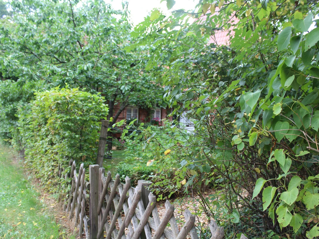 Ferienwohnung Zinne-Wigger Steimbke Grüner Garten mit Holzzaun und dichten Sträuchern umrahmt traditionelles Ziegelhaus in ländlicher Umgebung.
