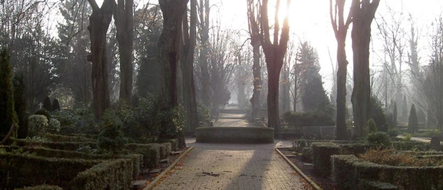 friedhof_brunnenallee.jpg Sonnenstrahlen durchfluten die baumbestandene Allee eines Friedhofs, herbstliches Laub auf dem Weg.