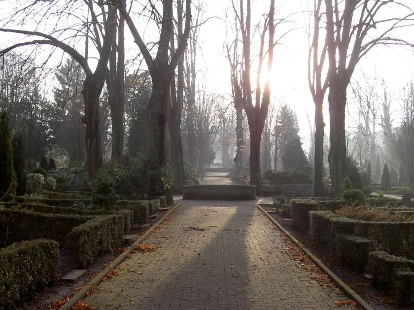 friedhof_brunnenallee.jpg Sonnenstrahlen durchfluten die baumbestandene Allee eines Friedhofs, herbstliches Laub auf dem Weg.