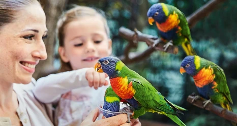 Weltvogelpark_Mitmachfütterung_Loris.jpg