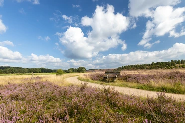 Heideschleife Haverbeeke Rundwanderweg Wanderweg Haverbeeke Heideschleife Barrierefrei
