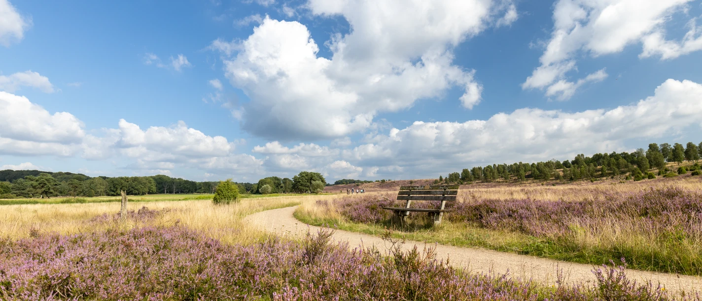 Heideschleife Haverbeeke Rundwanderweg Hiking trail Haverbeeke Heideschleife Barrier-free