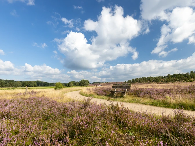 Heideschleife Haverbeeke Rundwanderweg Wanderweg Haverbeeke Heideschleife BarrierefreiHiking trail Haverbeeke Heideschleife Barrier-freeVandresti Haverbeeke Heideschleife BarrierefriWandelroute Haverbeeke Heideschleife Barrièrevrij