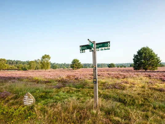 Tal der Haverbeeke_2© Lüneburger Heide GmbH.jpg Heideschleife Wanderweg HaverbeekeHeath loop hiking trail HaverbeekeVandresti på heden HaverbeekeHeide lus wandelroute Haverbeeke