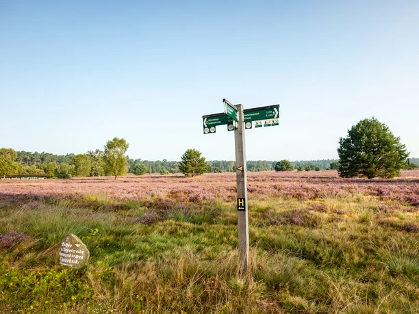 Tal der Haverbeeke_2© Lüneburger Heide GmbH.jpg Heideschleife Wanderweg Haverbeeke