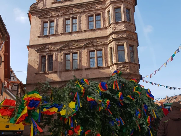 Gernsbach Narrenbaumstellen Altes Rathaus 2023 Gernsbach Narrenbaumstellen Altes Rathaus 2023