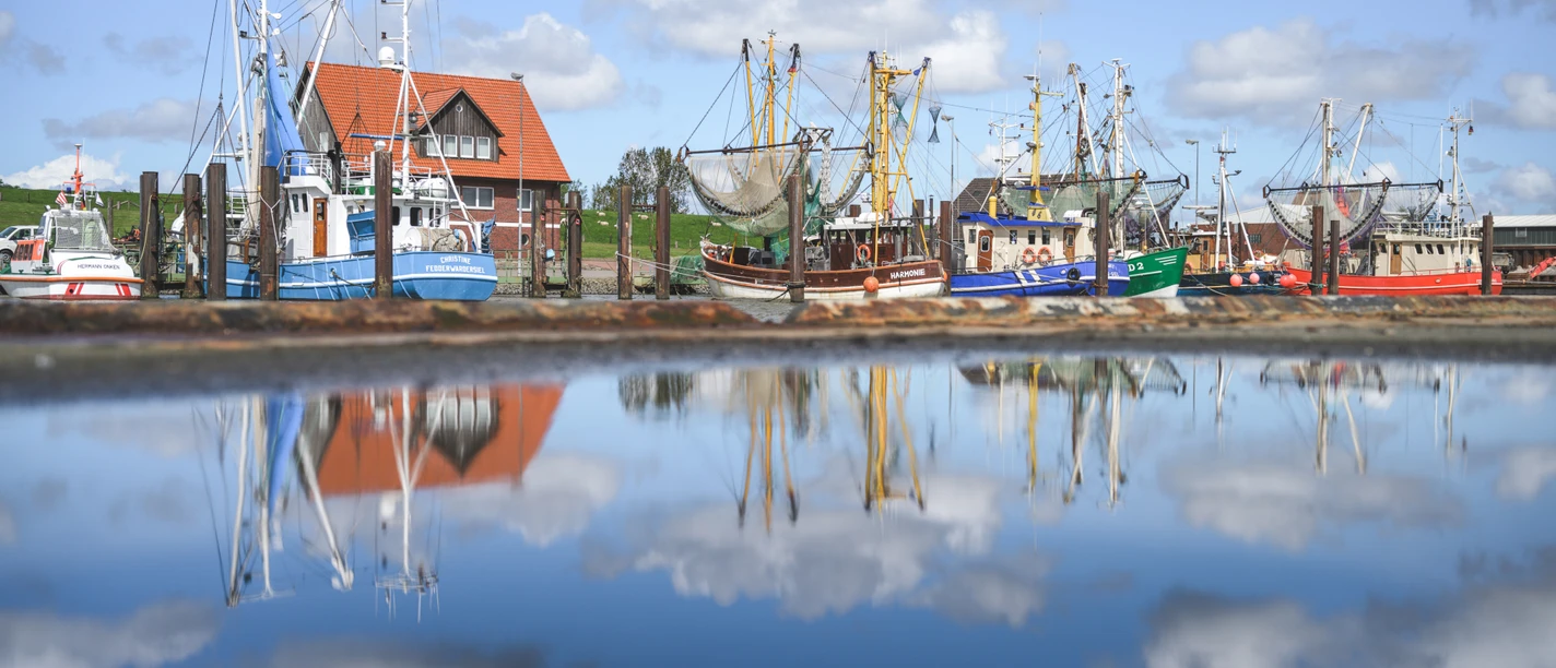 Kutterhafen Fedderwardersiel in Butjadingen