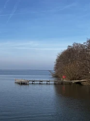 Ein hölzerner Steg mit Rettungsring erstreckt sich in einen ruhigen See, umgeben von kahlen Bäumen.