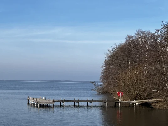 Badeinsel.jpeg Ein hölzerner Steg mit Rettungsring erstreckt sich in einen ruhigen See, umgeben von kahlen Bäumen.