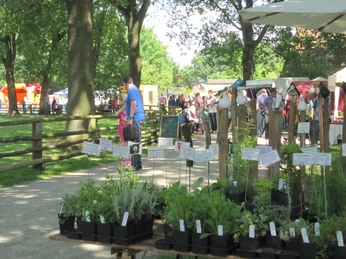 Ostern auf dem Museumshof in Rahden Zu sehen ist ein lebendiger Ostermarkt mit Pflanzen, Ständen und Besuchern auf dem Museumshof in Rahden.