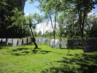 Wäsche trocknet an Leinen unter Bäumen im sonnigen Grün eines ländlichen Gartens.
