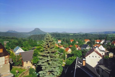 Blick auf Rathmannsdorf Höhe Blick auf eine kleine Stadt mit Häusern und einem großen Baum, Tafelberg im Hintergrund.