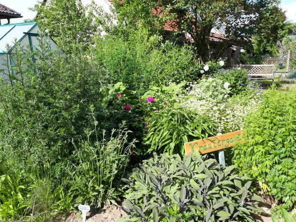 Kräutergarten