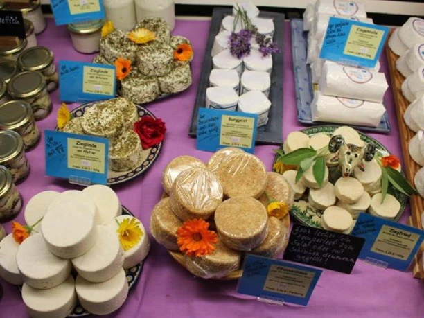 Different types of cheese on a purple cloth, decorated with flowers; some cheeses are sprinkled with herbs, others are wrapped in plastic.