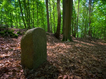 Stein im Wald Stein im Wald