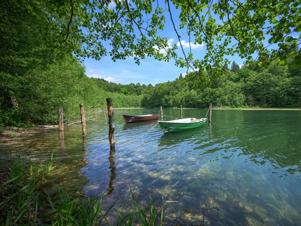 Zwei Boote liegen auf dem Salemer See. Das Wasser unter den Baumkronen ist klar. Das Wetter ist sommerlich mit Sonnenschein.