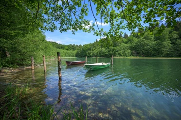 Boote am Salemer See Zwei Boote liegen auf dem Salemer See. Das Wasser unter den Baumkronen ist klar. Das Wetter ist sommerlich mit Sonnenschein.