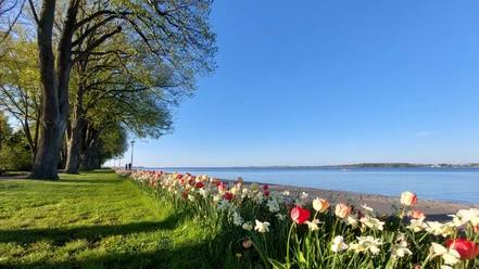 Sundpromenade im Frühling