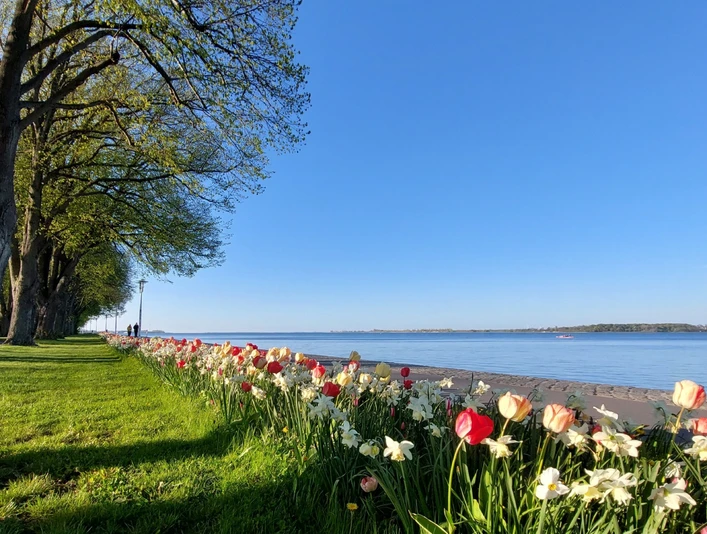 Sundpromenade im Frühling