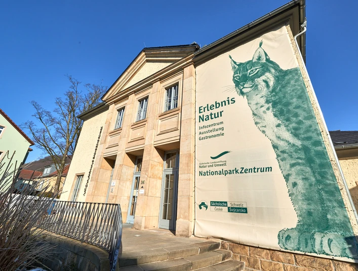 Nationalparkzentrum in Bad Schandau Eingangsbereich eines Gebäudes mit großem Plakat eines Luchses, das für das Nationalparkzentrum wirbt; blauer Himmel im Hintergrund.