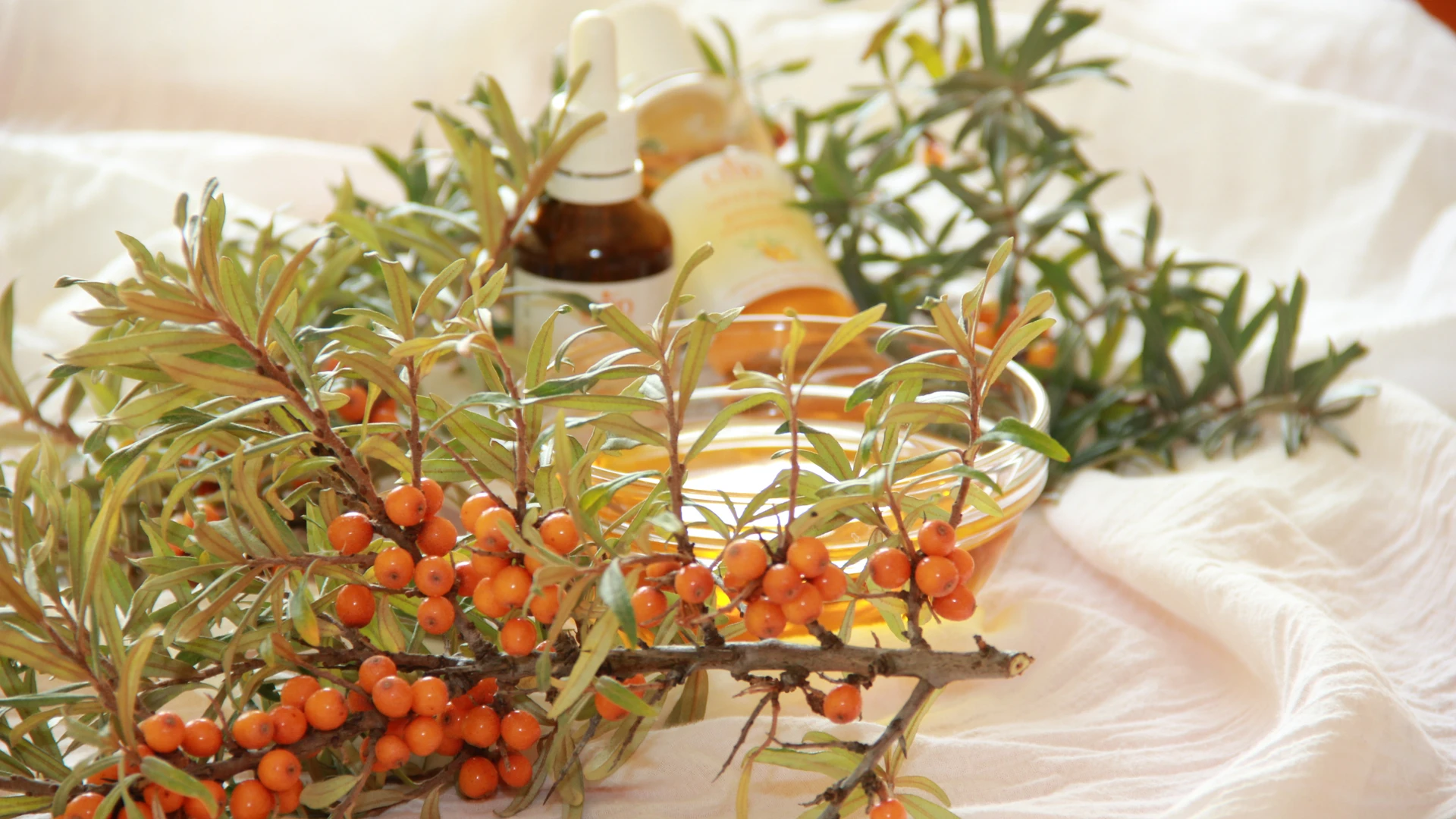 Wellness Treatment "Sea Buckthorn Oil Body Wrap"