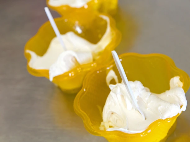 BAIE_Waldhonigeis (8)_klein