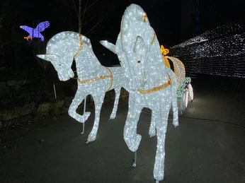 Pferdekutsche im Feuer- und Lichterland Königstein