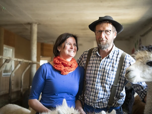 Alpakahof Riegsee Zwei Personen und ein Alpaka in einem Stall stehen nebeneinander.
