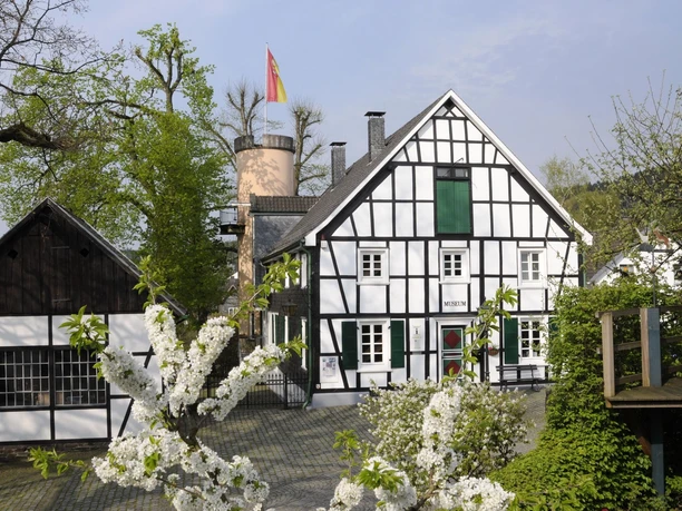 Heimatmuseum Frühling Fachwerkhaus mit Museumsschild, blühender Baum im Vordergrund, idyllische Szene bei sonnigem Wetter.