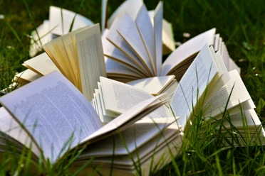 Büchertreff Offene Bücher mit sichtbaren Seiten liegen auf grünem Gras, umgeben von natürlichen Lichtstrahlen.