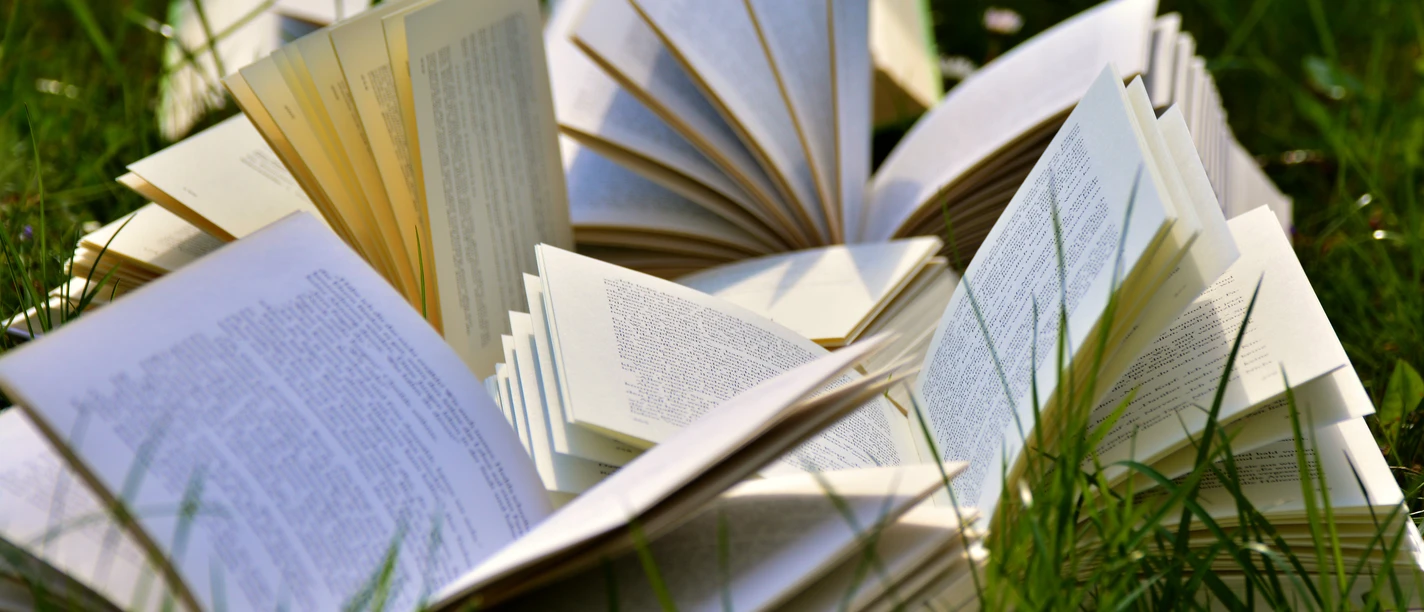 Büchertreff Offene Bücher mit sichtbaren Seiten liegen auf grünem Gras, umgeben von natürlichen Lichtstrahlen.