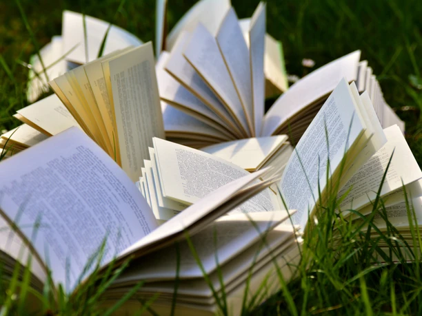 Büchertreff Offene Bücher mit sichtbaren Seiten liegen auf grünem Gras, umgeben von natürlichen Lichtstrahlen.