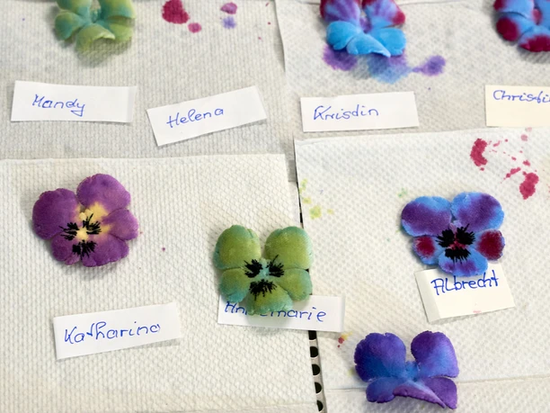 Colorful, artificial flowers on white paper towels, each with a name tag; colors include purple, blue and green.