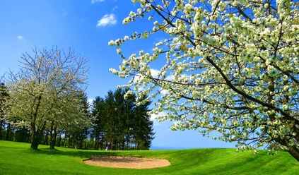 Golfclub Schaumburg_Schaumburg erleben
