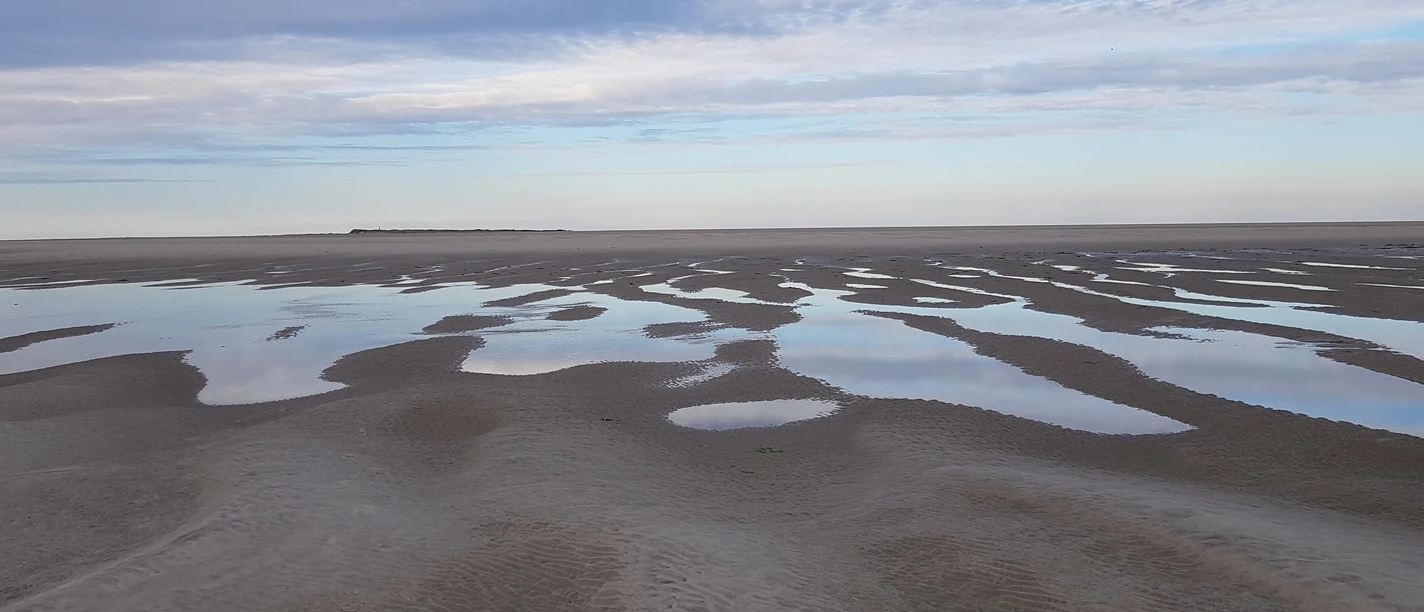 Billriff auf Juist.jpg Billriff auf Juist