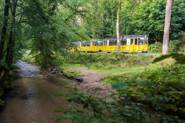 De gele Kirtnitzschtalbahn loopt door een groen bos langs een klein beekje, met een vredige sfeer.