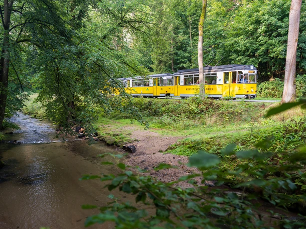 Yellow Kirtnitzschtalbahn runs through a green forest along a small stream, peaceful atmosphere.