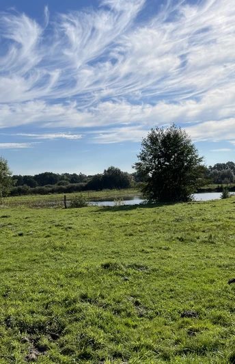 Storchenrundweg Grüne Wiese mit Bäumen und einem kleinen Teich unter einem bewölkten Himmel bei Sonnenschein.