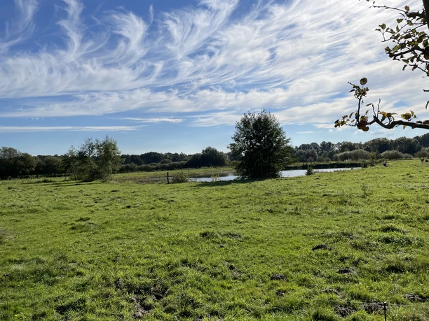 Storchenrundweg Grüne Wiese mit Bäumen und einem kleinen Teich unter einem bewölkten Himmel bei Sonnenschein.