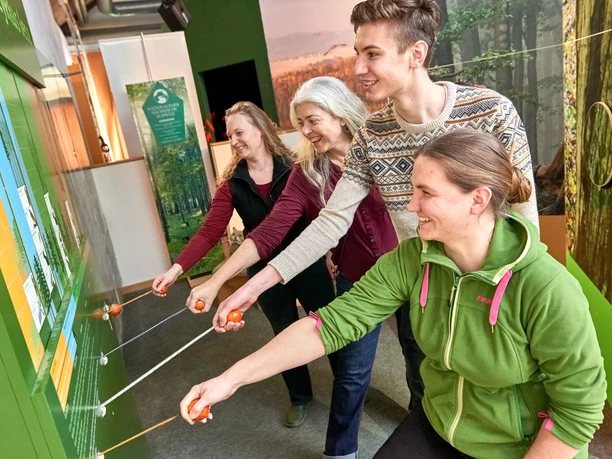 Four people stand smiling in front of a green wall and pull on ropes with handles; forest motifs can be seen in the background.