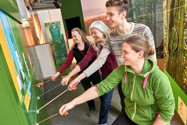 Nationalparkzentrum in Bad Schandau Vier Personen stehen lächelnd vor einer grünen Wand und ziehen an Seilen, die mit Griffen versehen sind; im Hintergrund sind Waldmotive zu sehen.