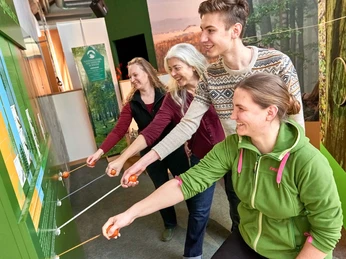 Nationalparkzentrum in Bad Schandau Vier Personen stehen lächelnd vor einer grünen Wand und ziehen an Seilen, die mit Griffen versehen sind; im Hintergrund sind Waldmotive zu sehen.